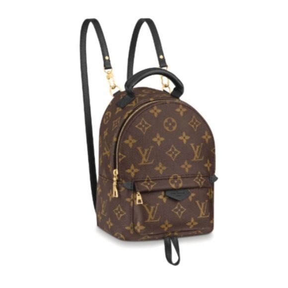 Louis Vuitton Backpack Daypack Monogram Palm Springs Mini - Picture 1 of 6